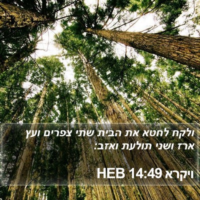 ויקרא 14:49 HEB Bible Verse Image