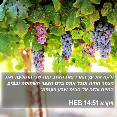 ויקרא 14:51 HEB Bible Verse Image