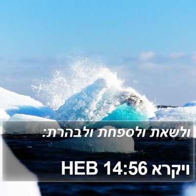 ויקרא 14:56 HEB Bible Verse Image