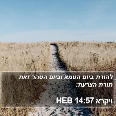ויקרא 14:57 HEB Bible Verse Image
