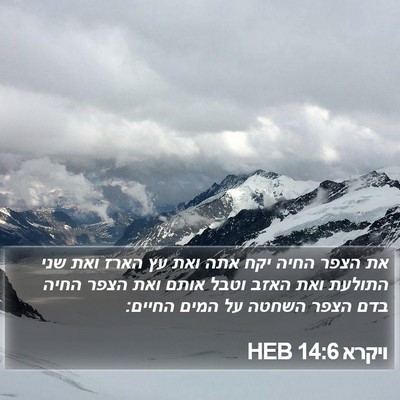 ויקרא 14:6 HEB Bible Verse Image