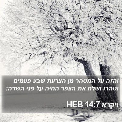 ויקרא 14:7 HEB Bible Verse Image