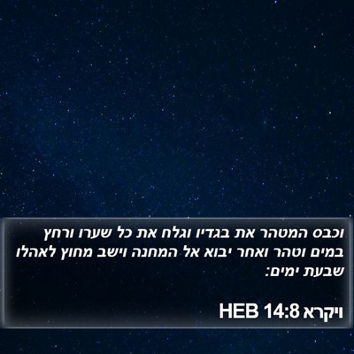 ויקרא 14:8 HEB Bible Verse Image
