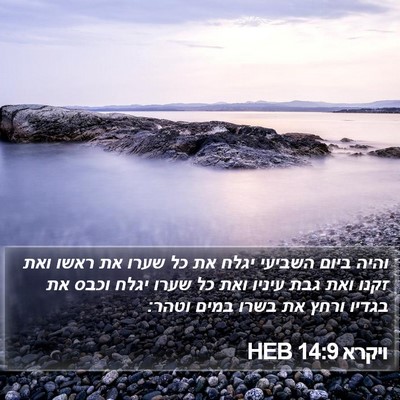 ויקרא 14:9 HEB Bible Verse Image