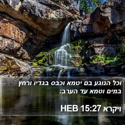 ויקרא 15:27 HEB Bible Verse Image