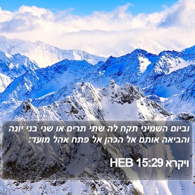 ויקרא 15:29 HEB Bible Verse Image