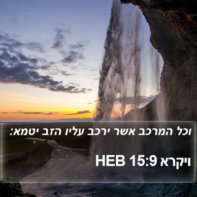 ויקרא 15:9 HEB Bible Verse Image