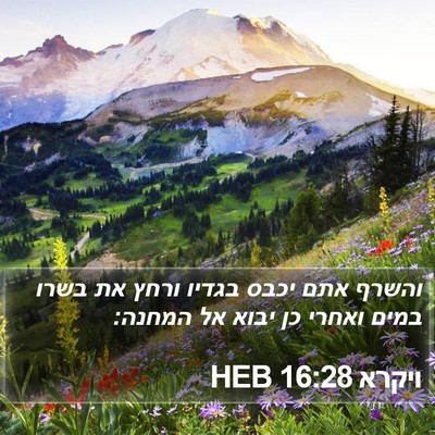ויקרא 16:28 HEB Bible Verse Image