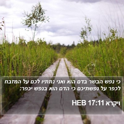 ויקרא 17:11 HEB Bible Verse Image