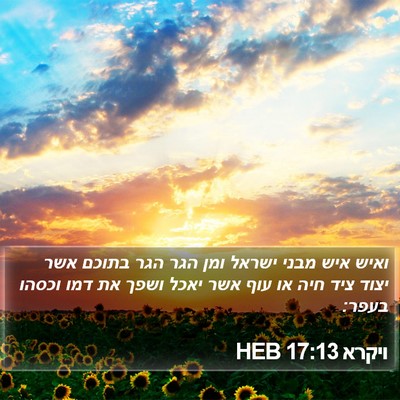 ויקרא 17:13 HEB Bible Verse Image