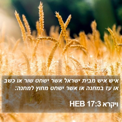 ויקרא 17:3 HEB Bible Verse Image