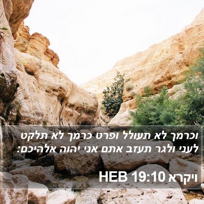 ויקרא 19:10 HEB Bible Verse Image