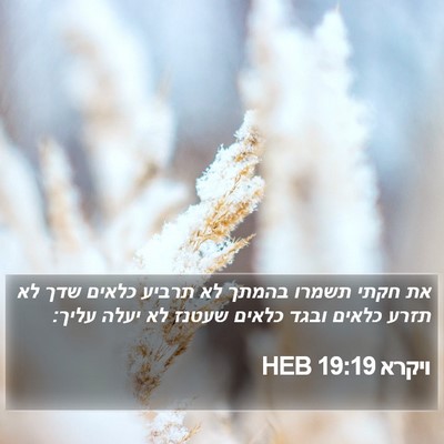 ויקרא 19:19 HEB Bible Verse Image