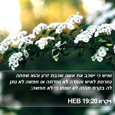 ויקרא 19:20 HEB Bible Verse Image