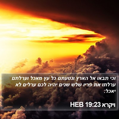ויקרא 19:23 HEB Bible Verse Image