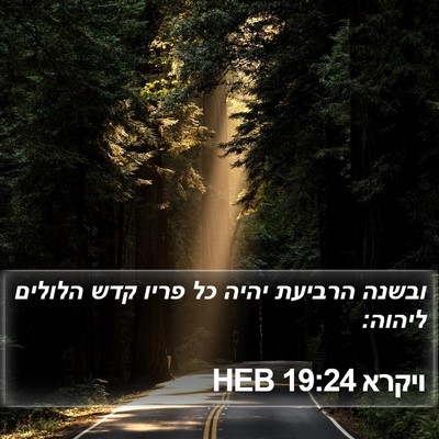 ויקרא 19:24 HEB Bible Verse Image