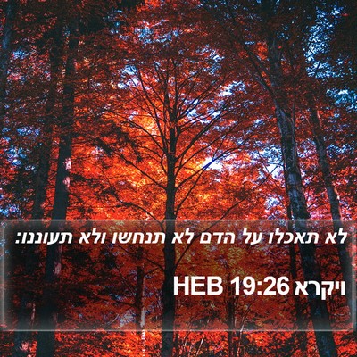 ויקרא 19:26 HEB Bible Verse Image