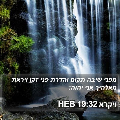 ויקרא 19:32 HEB Bible Verse Image