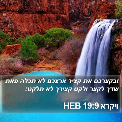 ויקרא 19:9 HEB Bible Verse Image