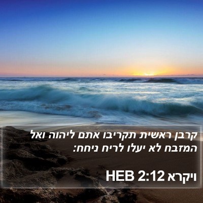 ויקרא 2:12 HEB Bible Verse Image