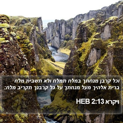 ויקרא 2:13 HEB Bible Verse Image