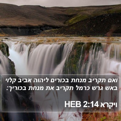 ויקרא 2:14 HEB Bible Verse Image