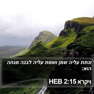 ויקרא 2:15 HEB Bible Verse Image