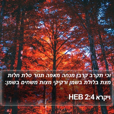 ויקרא 2:4 HEB Bible Verse Image
