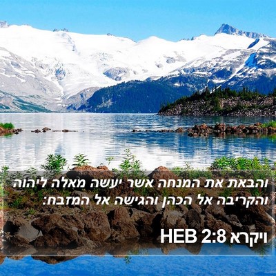 ויקרא 2:8 HEB Bible Verse Image