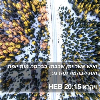 ויקרא 20:15 HEB Bible Verse Image