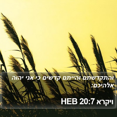 ויקרא 20:7 HEB Bible Verse Image