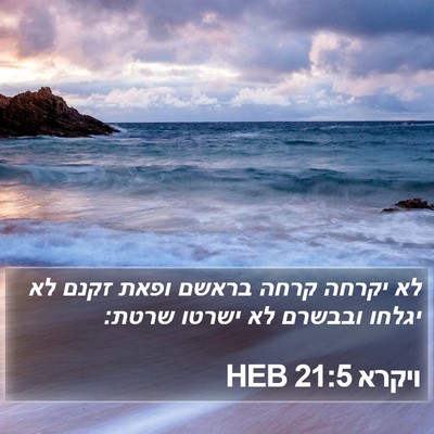 ויקרא 21:5 HEB Bible Verse Image