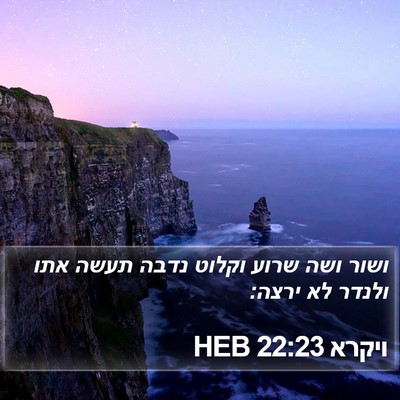ויקרא 22:23 HEB Bible Verse Image
