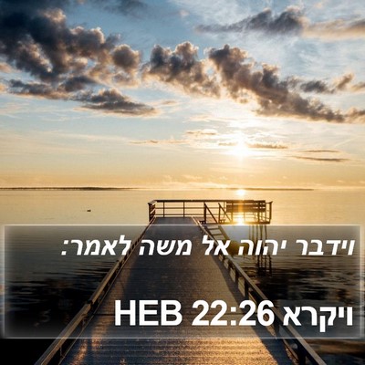 ויקרא 22:26 HEB Bible Verse Image