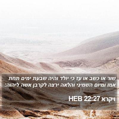 ויקרא 22:27 HEB Bible Verse Image