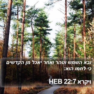 ויקרא 22:7 HEB Bible Verse Image