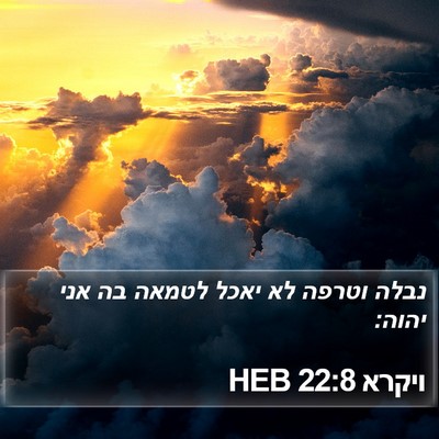 ויקרא 22:8 HEB Bible Verse Image