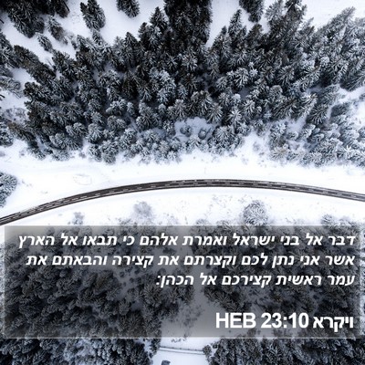 ויקרא 23:10 HEB Bible Verse Image