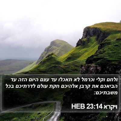 ויקרא 23:14 HEB Bible Verse Image