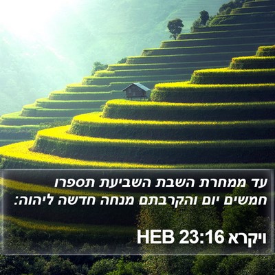 ויקרא 23:16 HEB Bible Verse Image