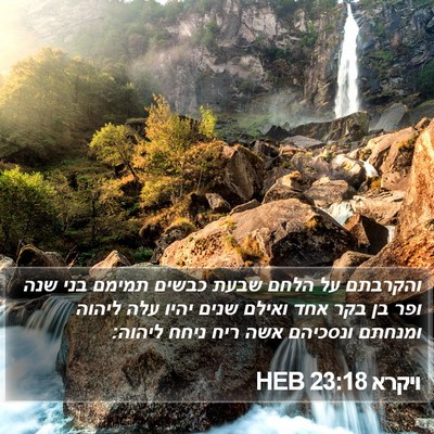 ויקרא 23:18 HEB Bible Verse Image