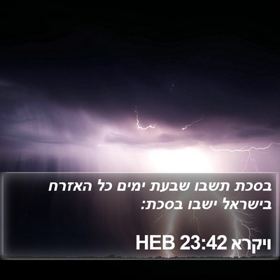 ויקרא 23:42 HEB Bible Verse Image