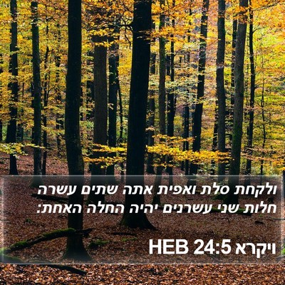 ויקרא 24:5 HEB Bible Verse Image