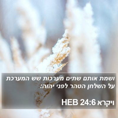 ויקרא 24:6 HEB Bible Verse Image