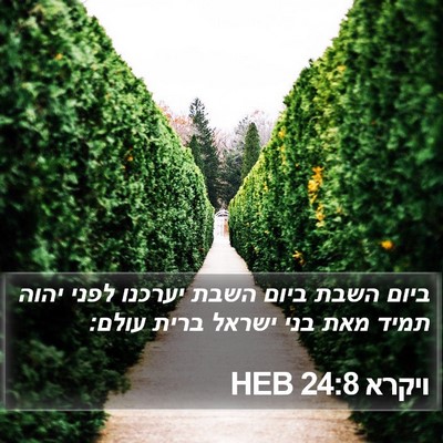 ויקרא 24:8 HEB Bible Verse Image