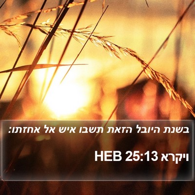ויקרא 25:13 HEB Bible Verse Image