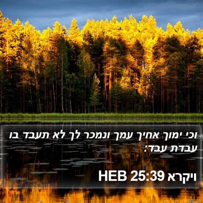ויקרא 25:39 HEB Bible Verse Image