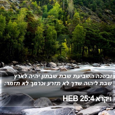 ויקרא 25:4 HEB Bible Verse Image