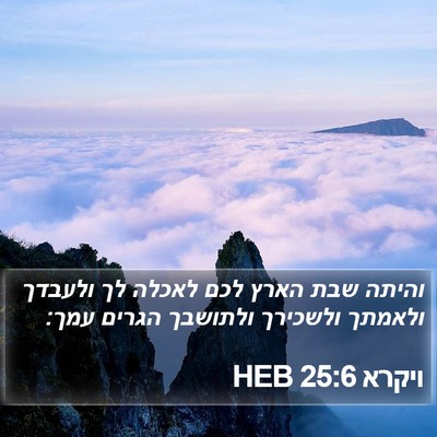 ויקרא 25:6 HEB Bible Verse Image