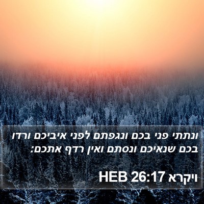 ויקרא 26:17 HEB Bible Verse Image